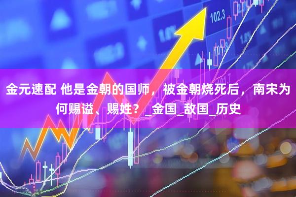 金元速配 他是金朝的国师，被金朝烧死后，南宋为何赐谥、赐姓？_金国_敌国_历史