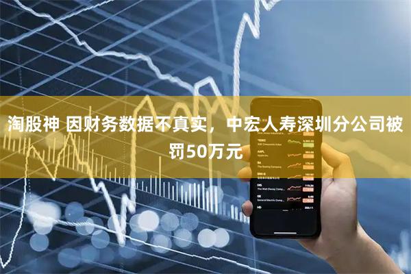 淘股神 因财务数据不真实，中宏人寿深圳分公司被罚50万元