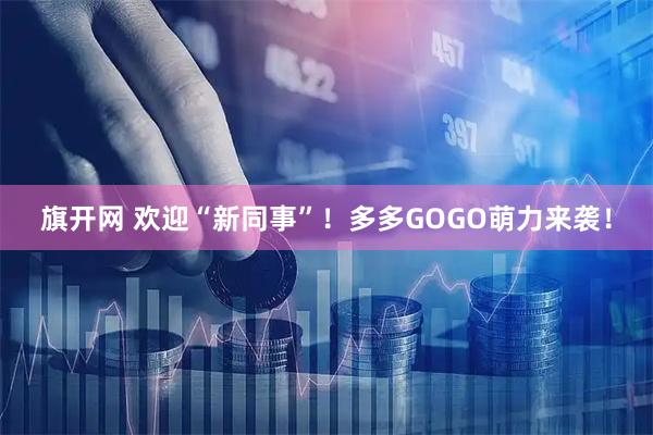旗开网 欢迎“新同事”！多多GOGO萌力来袭！